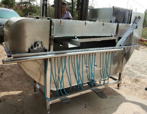 全自动家禽船烫沥血一体机 现代农业与日常用品的创新结合