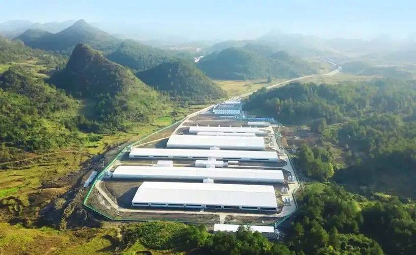涵盖生猪养殖,家禽养殖,家禽初深加工三大业务板块,并建立与之配套的