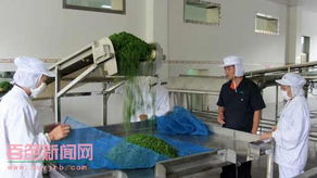 西林 以家禽深加工为引领，壮大农林产品深加工生态工业