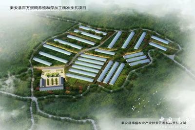 秦安中山镇家禽深加工产业迎来重大发展机遇，惠及民生促振兴