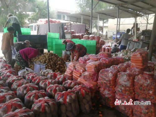 临洮强化东西部协作，助力家禽深加工产业转型升级