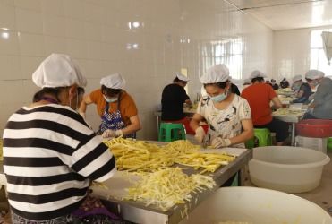 兴文县招引特色农业企业，推动农林产品与家禽深加工发展