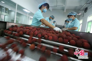 创新引领产业升级 广东祯州成功开发丹荔果醋冰酒与家禽深加工系列产品