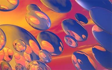 家禽深加工 解锁三农领域新价值，助力乡村振兴