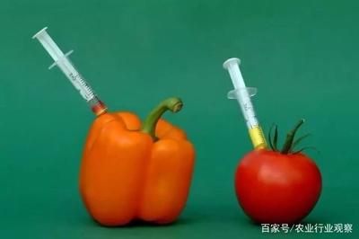 政策赋能与风险防范 家禽深加工行业的机遇与挑战